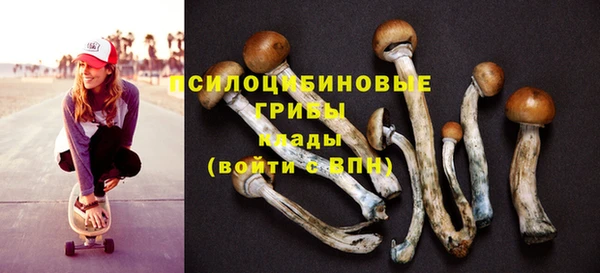 дурь Надым