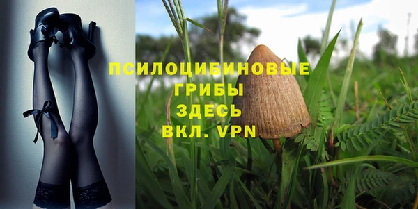дурь Надым
