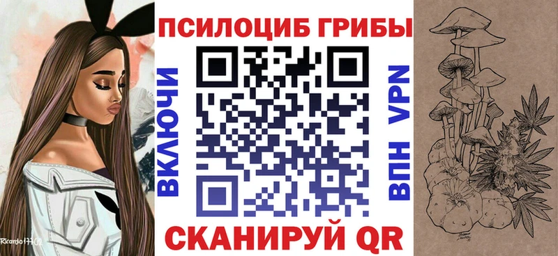 купить наркоту  Приозерск  Псилоцибиновые грибы MAGIC MUSHROOMS 